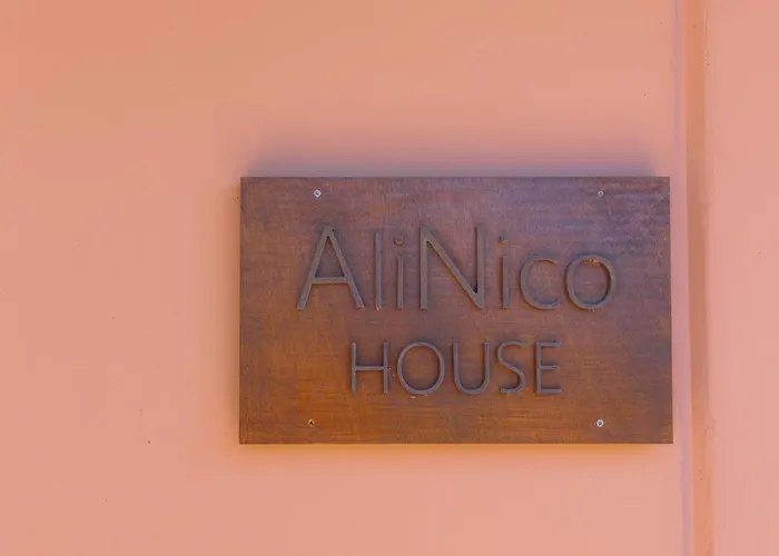 Alinico House 別荘 *